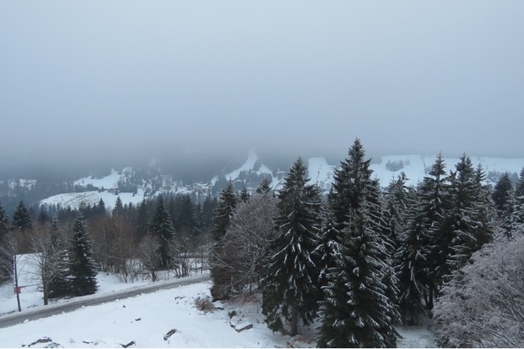 winter view at lookout tower Královka at Alpa accomodation Jizera Mountains
